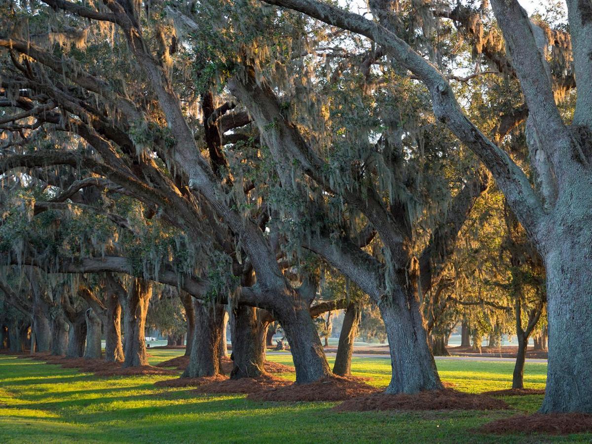 The Lodge At Sea Island St. Simons Island Zewnętrze zdjęcie